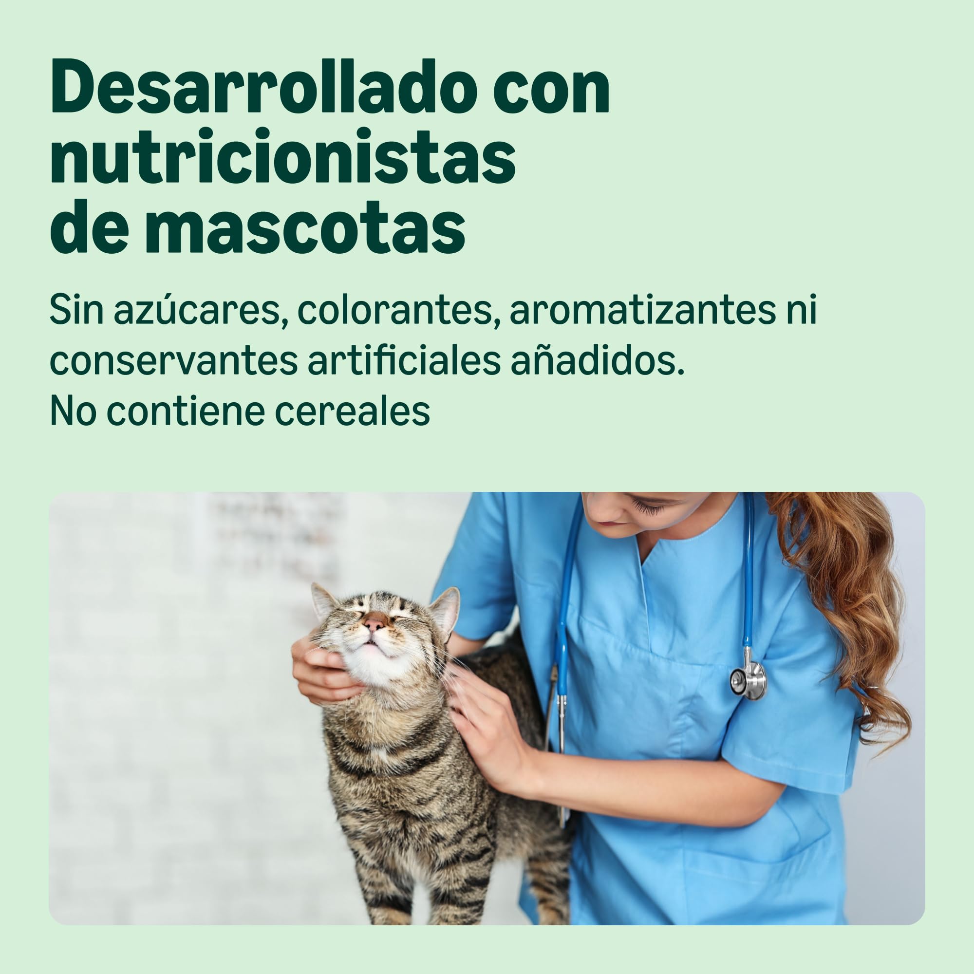 Comida Húmeda para Gatos by Amazon, Paté Mixto, 100g, Paquete de 32