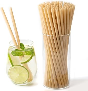 HANSGO 60PCS Sugarcane Straws, 7.7 Inch Drinking Straws for Hot Cold Drinks