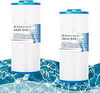 Vista 1 de Cartucho de filtro de spa para bañera de hidromasaje 4CH-949, reemplaza a FD2007, PWW50L, FC-0172, FIL50-5D13H15FCT-3, FIL11100208, 817-4050
