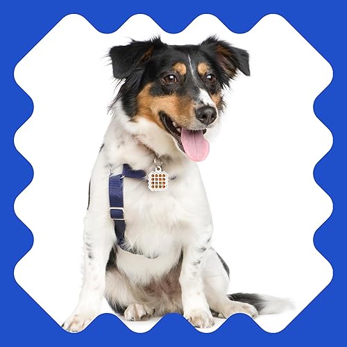 Miniatura 5 de NATPAT Training Aid - Calcomanías para mascotas, calcomanías calmantes de aceites esenciales naturales para perros y gatos, apoyo para el enfoque y