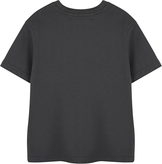 Nirvana レインボー ロゴ キッズ ユニセックス キッズ グレー 半袖 Tシャツ
