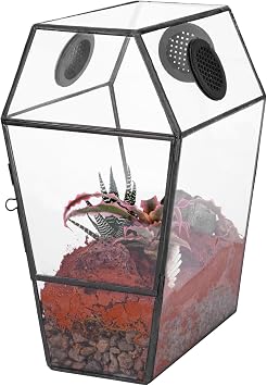 NCYP Gothic Glass Enclosure for Jumping Spider, Snails, Insects - Front Opening Door Geometric Terrarium with Vent Holes, Indoor Tabletop Coffin Shape Decor, Black Terrarium Only