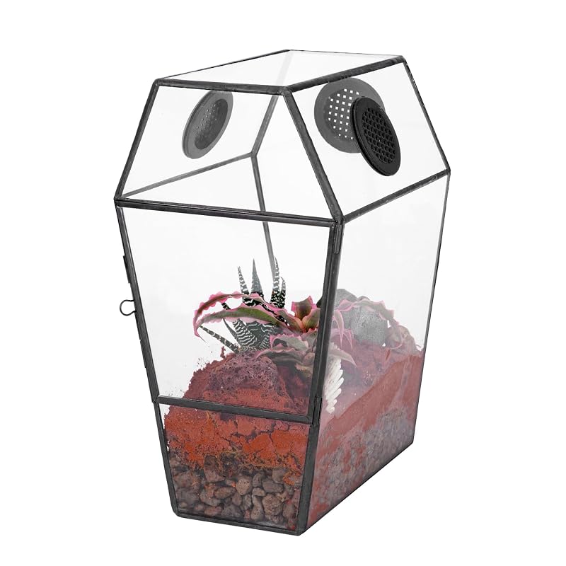 Terrário para aranhas-saltadoras e insetos NCYP de vidro, formato caixão, com porta frontal