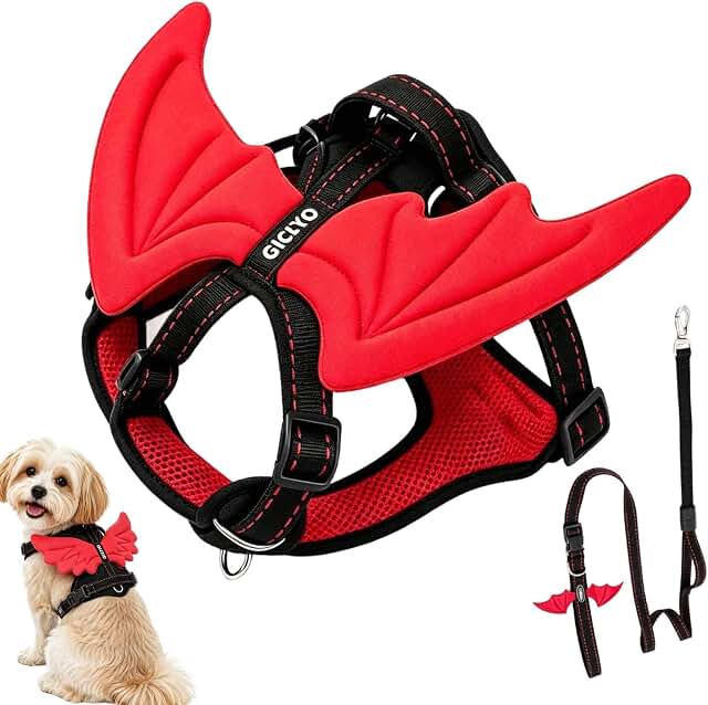 Black and red small-pet harness with decorative angel wings