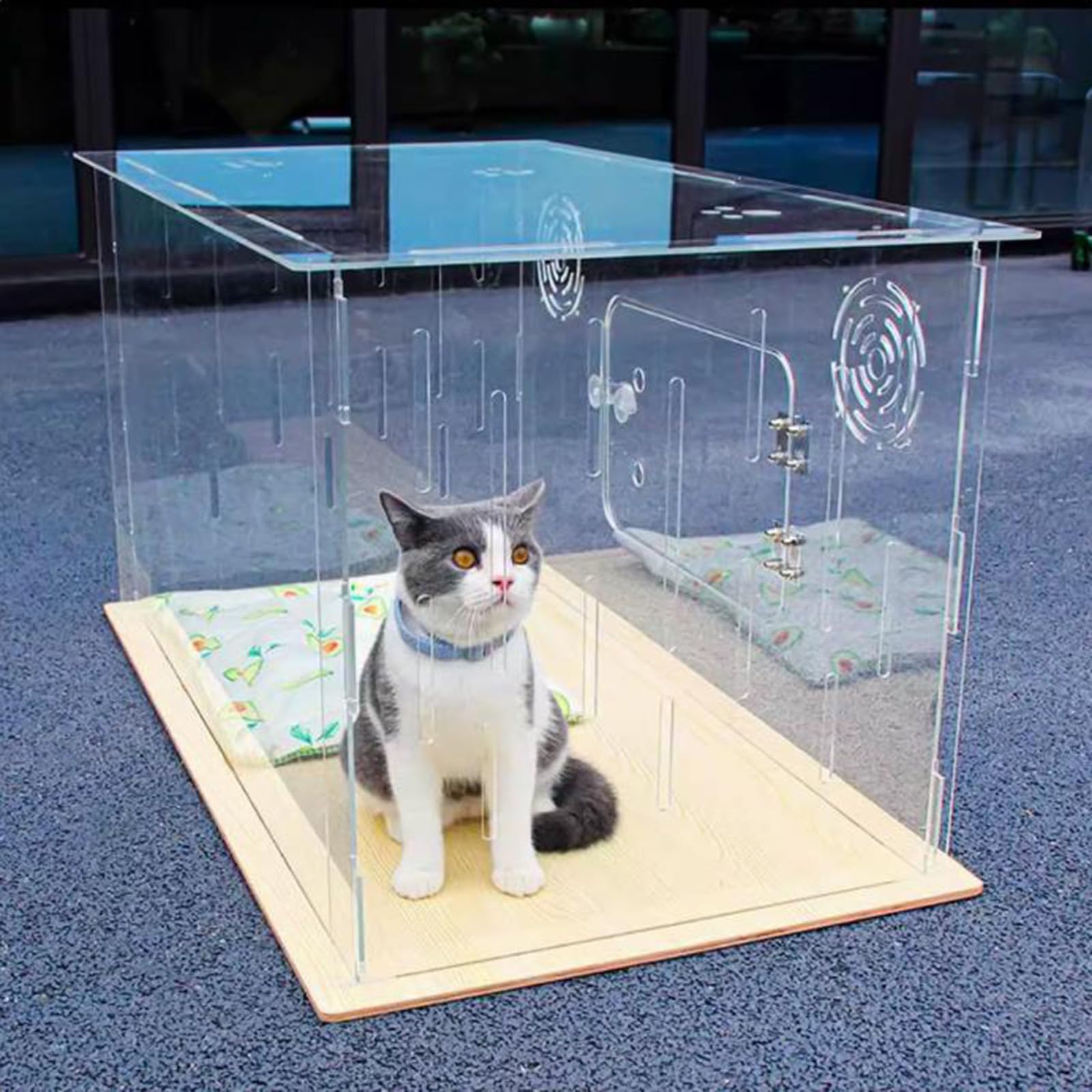Transparent Acrylic Cat Cage Dog Hamster Cage │ Small Animal Display Cage/Clear Display Pet House with Ventilated USB Fan & Wooden Base │Portable Vet/Show Cat Enclosure │ قفص قطط أكريليك شفاف