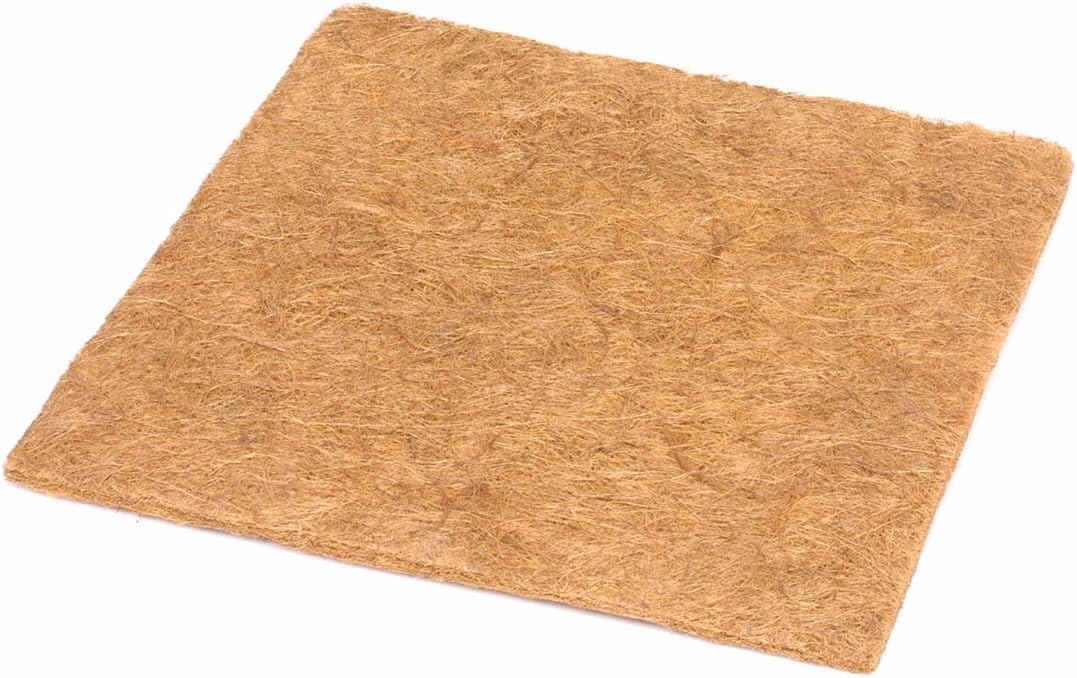 Takasho Palm Mat Square Sheet, 23.6 inches (60 cm)