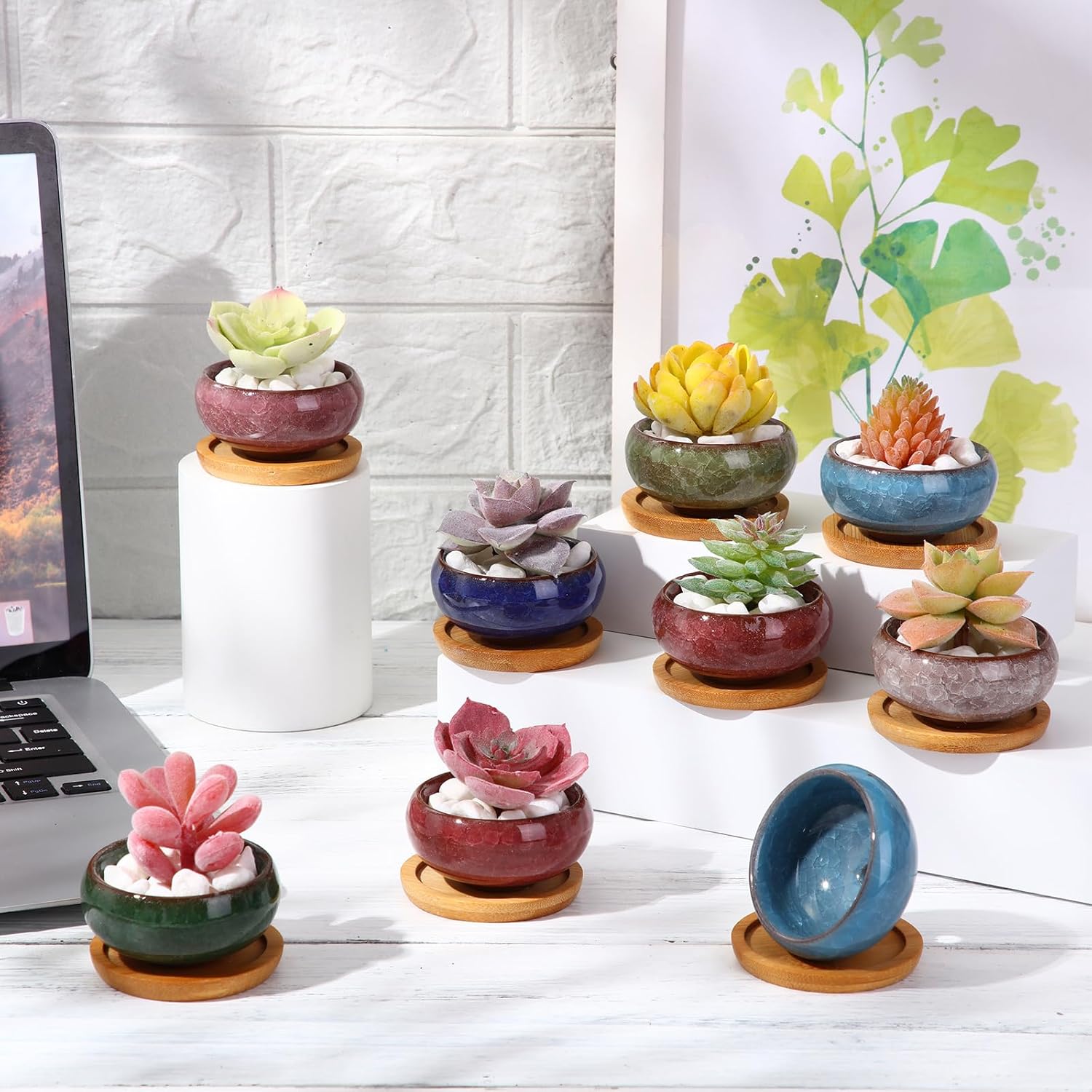 12 Pcs Small Succulent Pots with Drainage - 2.5 Inch Mini Ceramic Cactus Planters with Bamboo Saucers, 8 Colors Ice Crack Glaze Flower Pots for Plants, Home Office Desk Decor