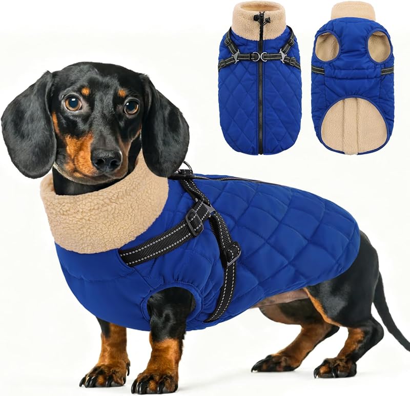 Casaco de Inverno para Cães Queenmore com Forro de Fleece e Peitoral Integrado Royal Blue XS