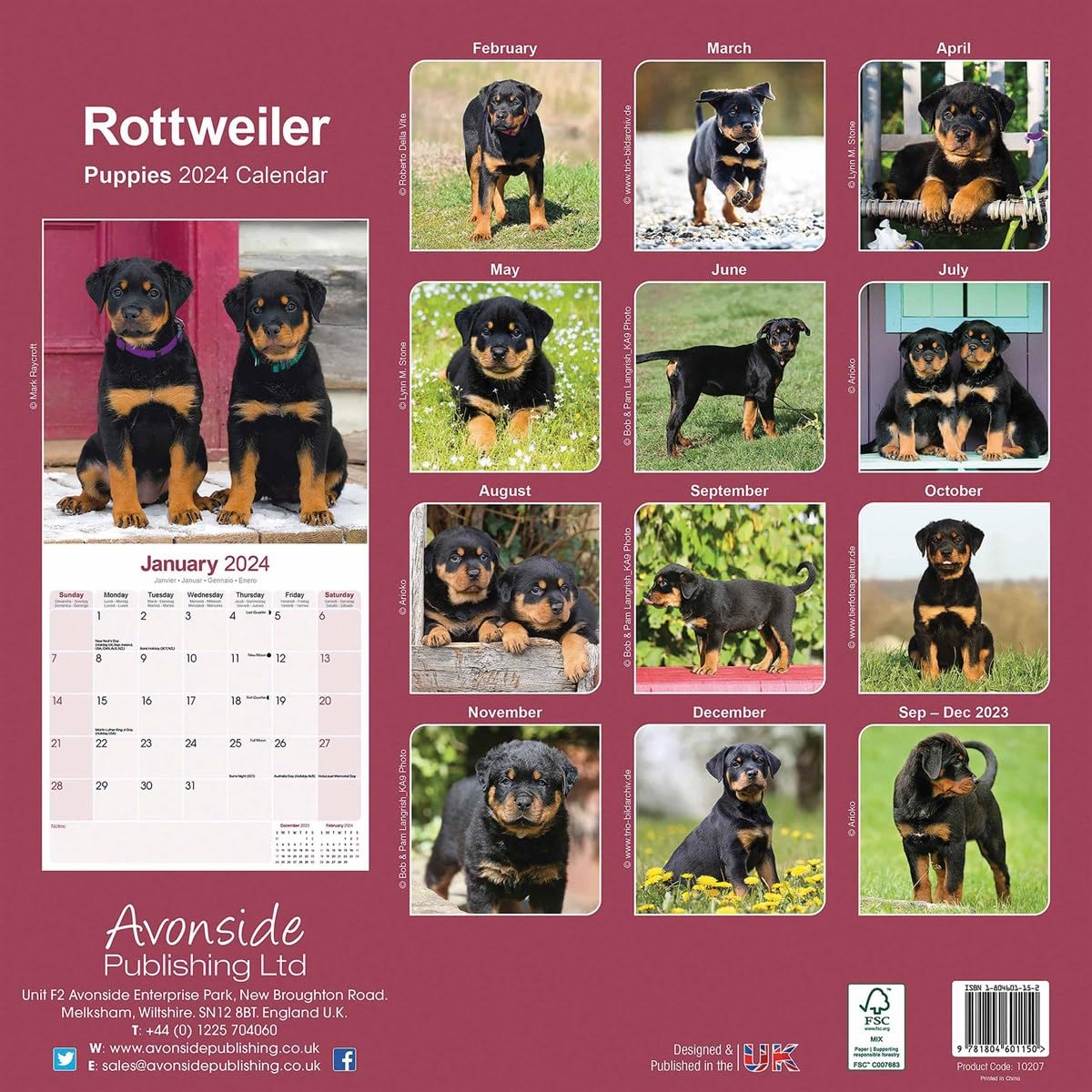 Rottweiler Puppies Calendar 2024 - Image 4