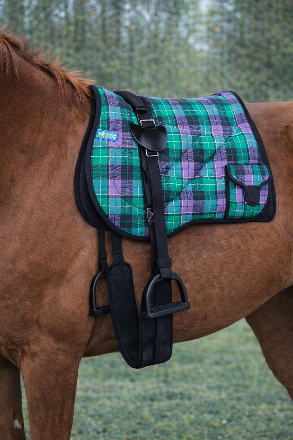 CHALLENGER Horse Neoprene Padded Anti-Slip Bareback Saddle Pad Blue Plaid 39TS04
