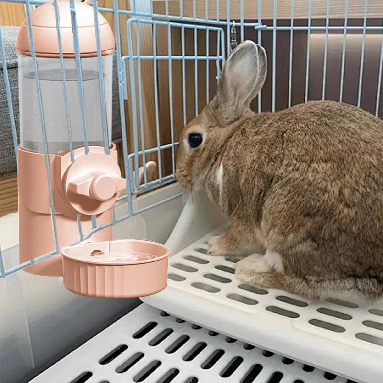 Bottiglia Acqua Per Cani | Confronta Prezzi