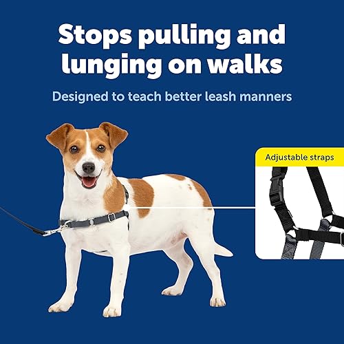 Miniatura 3 de PetSafe Arnés Easy Walk para perros, paseos sin tirar, diseño patentado de bucle Martingala, fijación de correa delantera en el pecho, correas