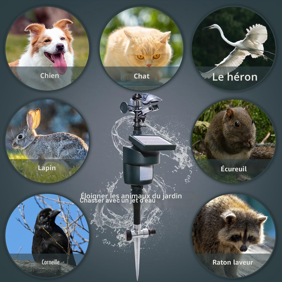 Arroseur activé par Le Mouvement avec Modes Jour et Nuit, Jet d'eau, répulsif pour Animaux avec Panneau Solaire, Jardin