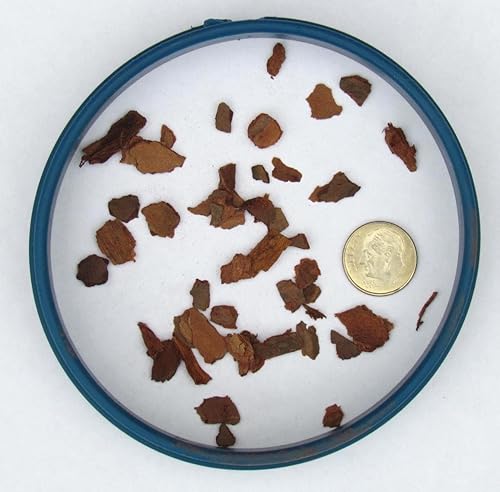 Miniatura 2 de Bonsai Jack Corteza de pino bonsái de 14 de pulgada, 1 galón