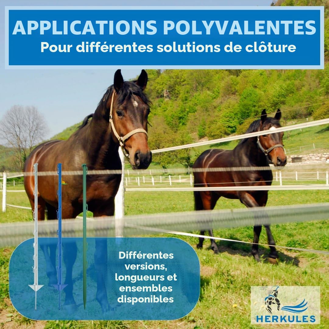 Farmland Herkules Lot de 10 piquets de clôture de pâturage 150 cm Plastique Robuste Pointe Acier galvanisé Double Marche