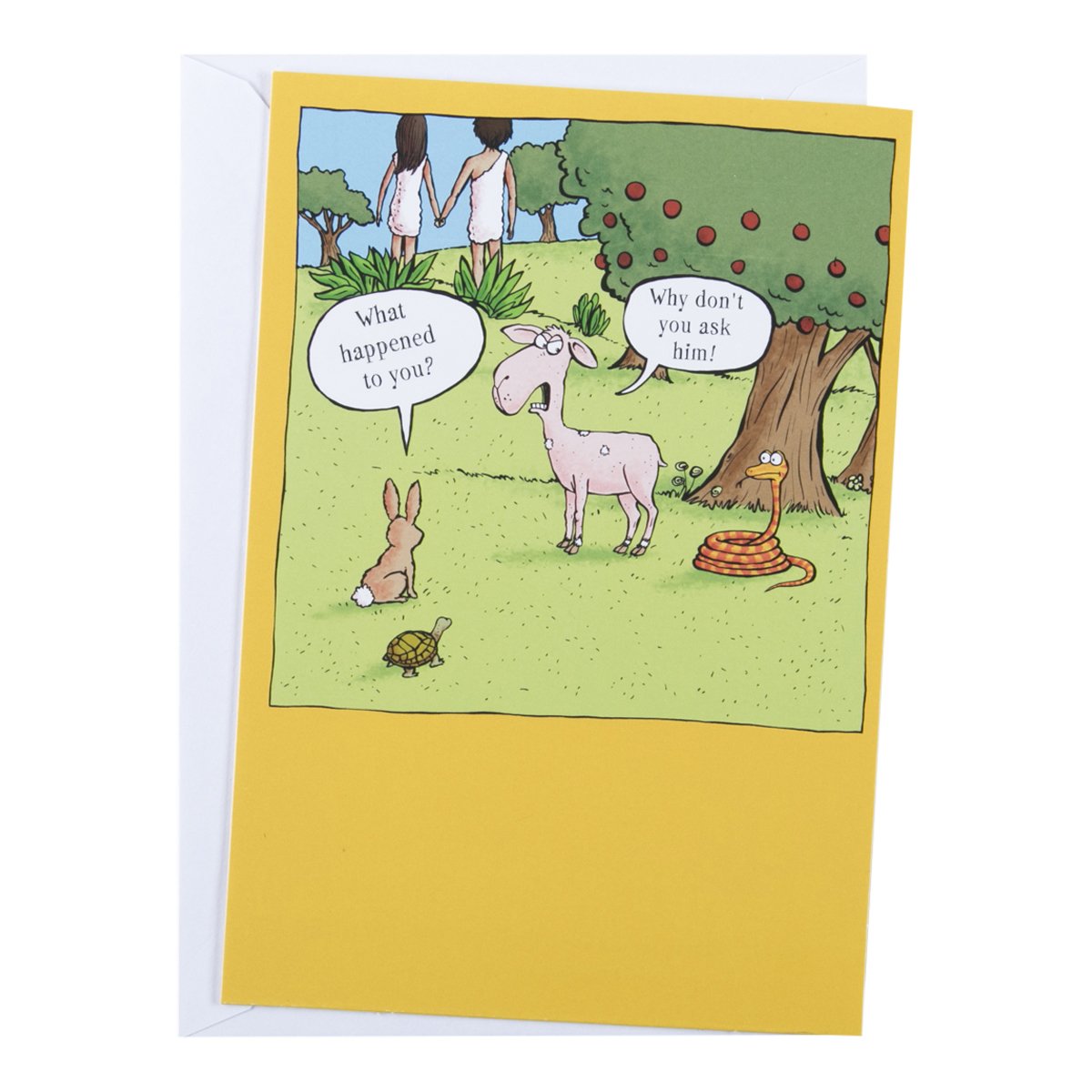 DaySpring BibleTails Humor Greeting Cards Friendship, 6 Count