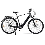 Varstrom Elektrofahrrad f&uuml;r Erwachsene Mittelmotor 250W E-Bike Damen Herren Ebike 120km Reichweite durch 43,2V 518 Wh Li-Ion Akku 8 G&auml;nge, 29 Zoll MTB Hexagon Boost 3.0