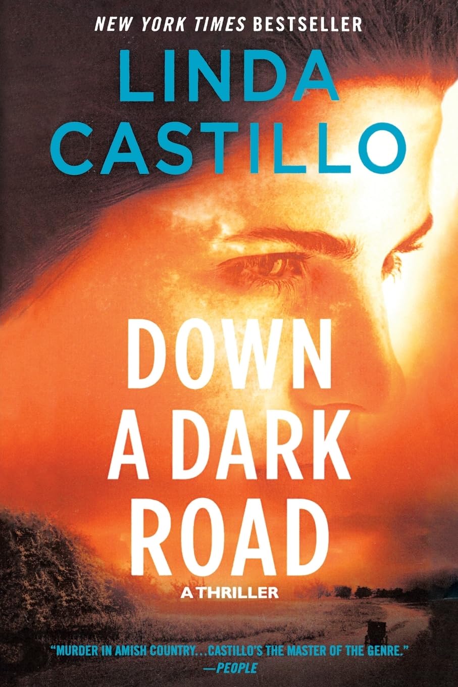 Down a Dark Road: A Kate Burkholder Novel: 9
