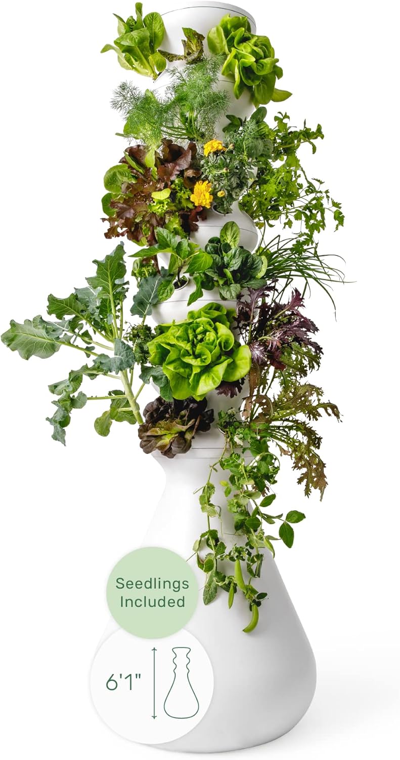 Lettuce Grow Farmstand Starter Kit with Seedlings Included