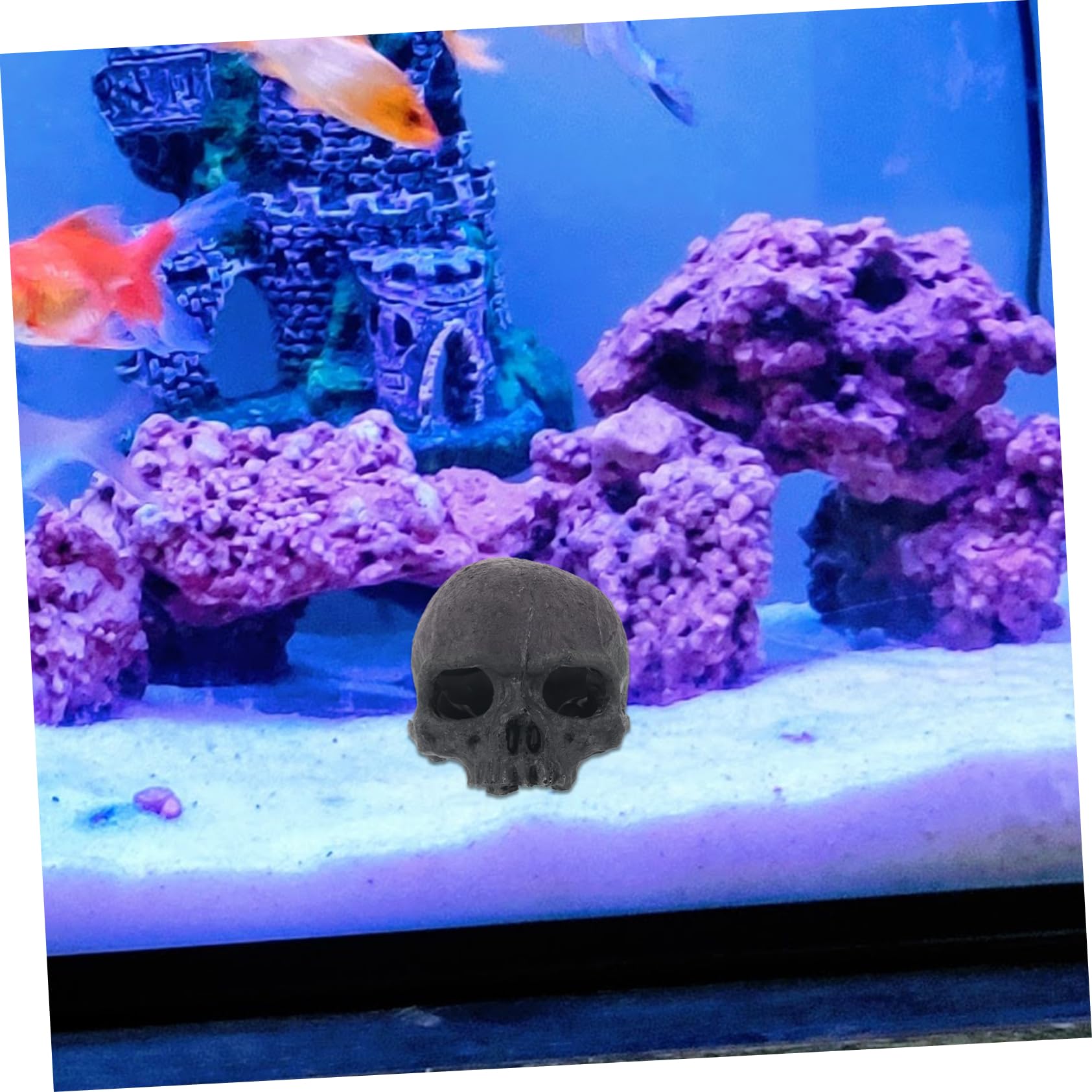 Alipis 5 Pezzi Decorazione con Resina per Terrario Soprammobile Halloween Realistico Accessorio per Rettili e Resistente all