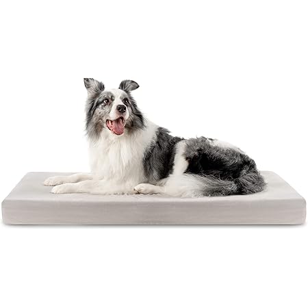 clark rubber dog beds