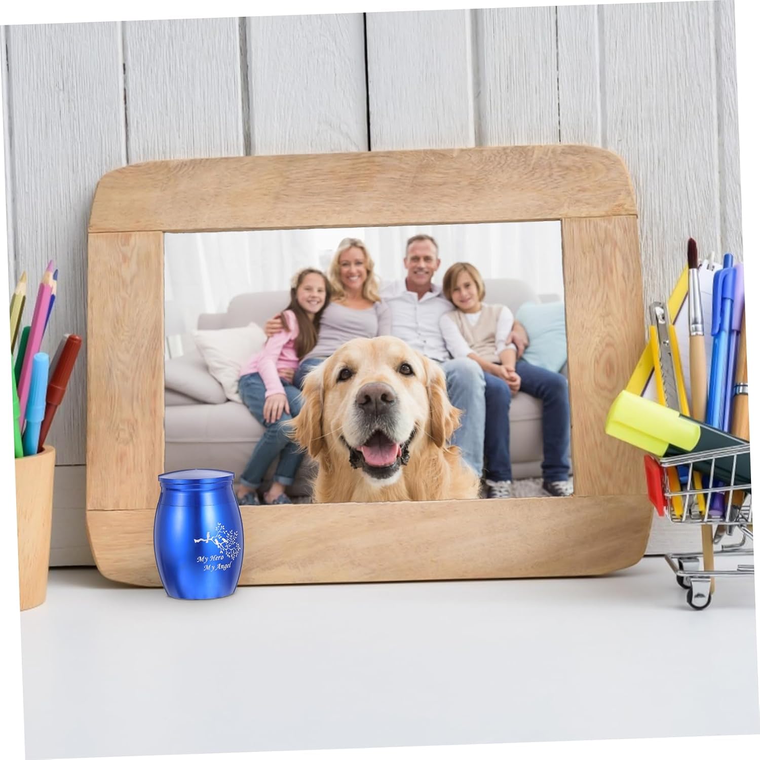 Garneck Pet Cinerary Casket Cremation Urn for Pets Ash Container for Cats Memorial Keepsake for Ashes and Fur Elegant Design