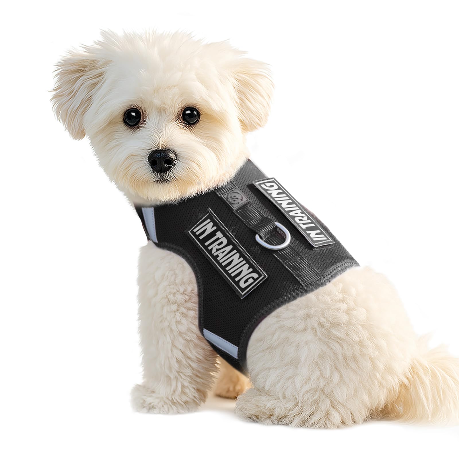 Sunraymascota Dog Harness Small Dog, Adjustable Size, Comfort Soft Vest for Small Dogs, Reflective Design with 2 Patches，Lightweight Breathable Dog Walking and Training (Black,M) — image 1
