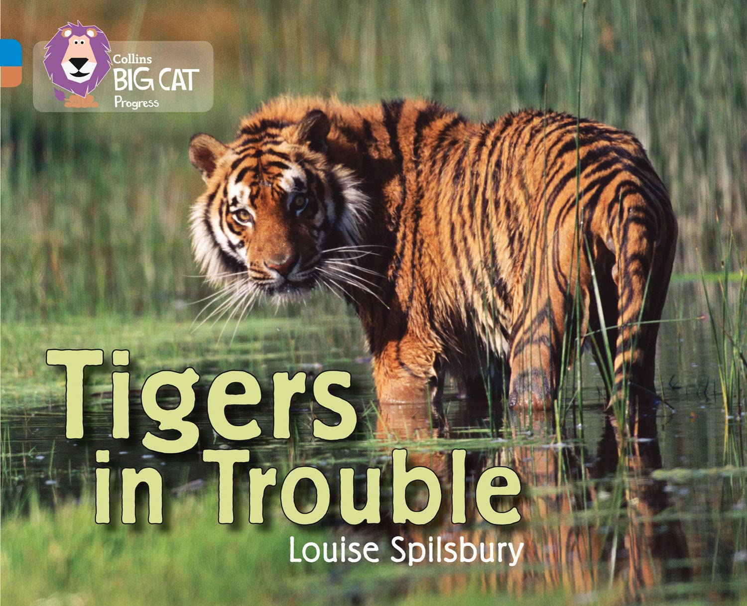 Tigers in Trouble by Louise Spilsbury PAPERBACK 9780007428809