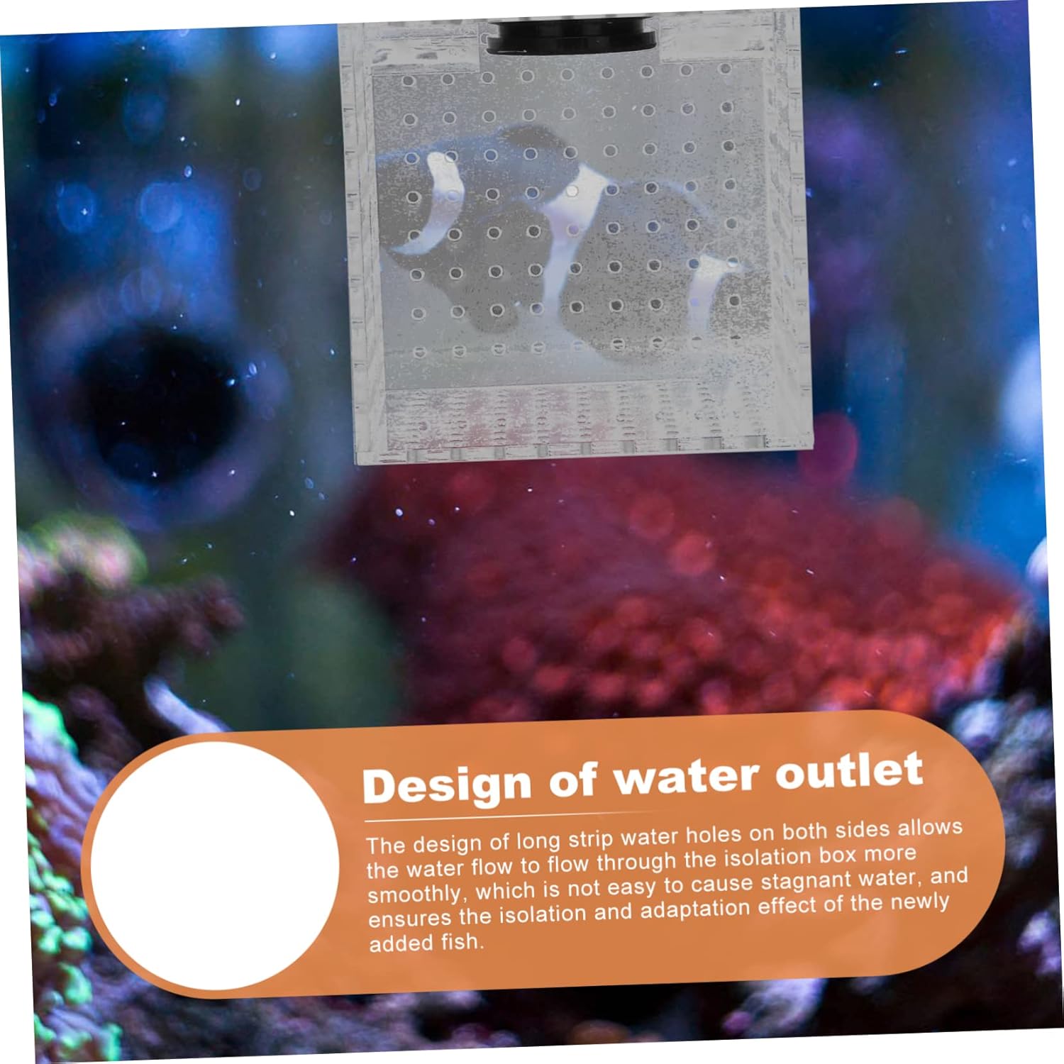 ORFOFE 1pc Fish Isolation Box Breeding Container for Fish Tanks Magnetic Design for Easy Installation for Hatchery Use