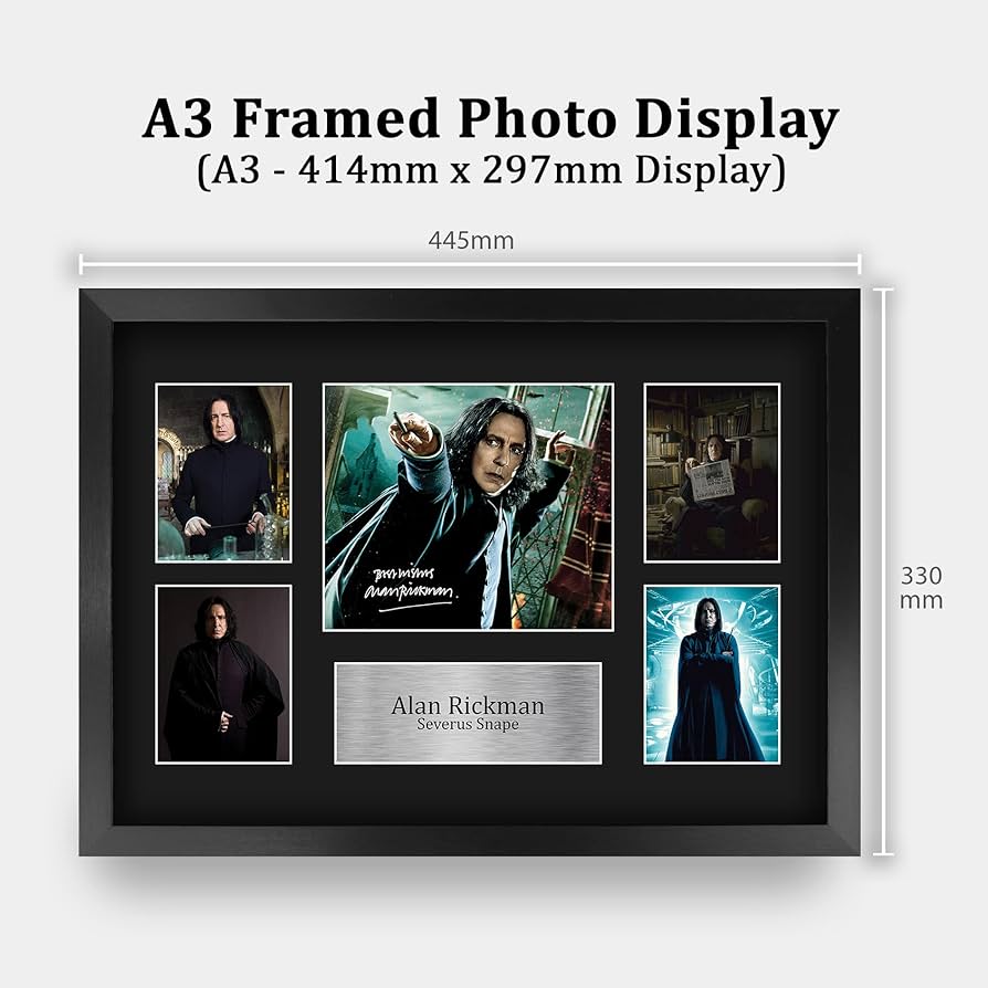 ハリーポッター　スネイプフィルムあり！フィルム入り額縁 ハリーポッター スネイプフィルムあり！フィルム入り額縁