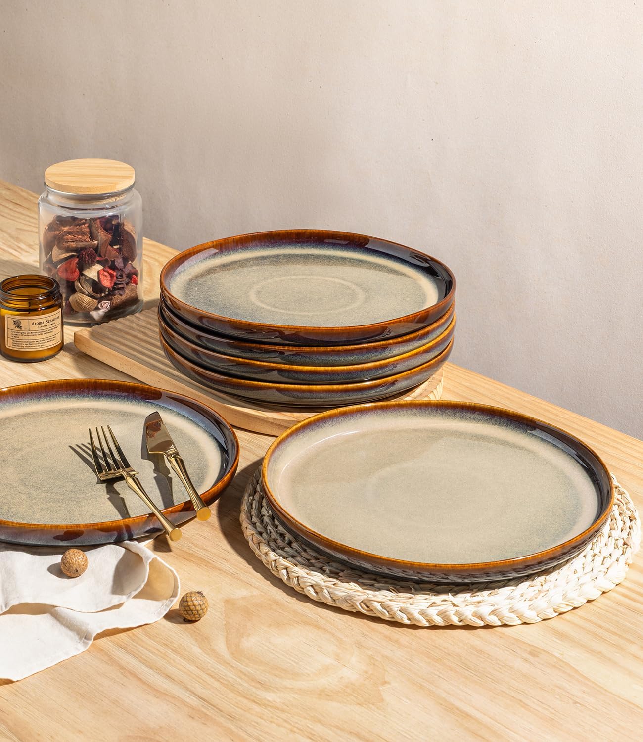 theterra Dinner Plates Set of 6, 10.25 Inch Ceramic Dinner Plates, Stoneware Dinnerware for Kitchen, Oven & Microwave & Dishwasher Safe, Coffee Bean