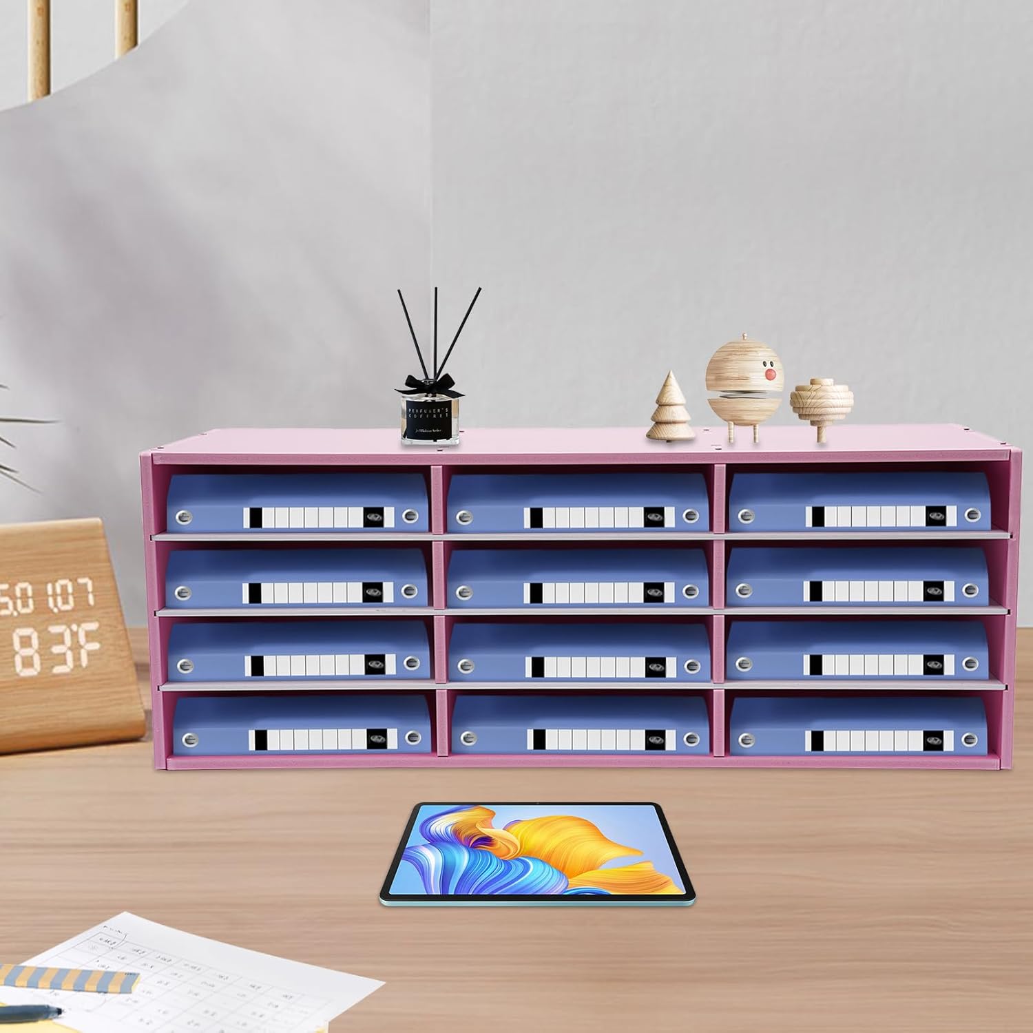 Mail Sorter Organizer, Literature Organizer, Student Mailbox Slot with Removable Shelves, for Desktop Bill Paper, for Classroom Office Home School (12 Compartments, Pink)