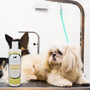 GROOMER ESSENTIALS Deshedding Shampoo 16 oz.- Sweet, Creamy, Citrus Fragrance - Formulated with Omega 3 & 6 Fatty Acids and Vitamin E - for All Coat Types