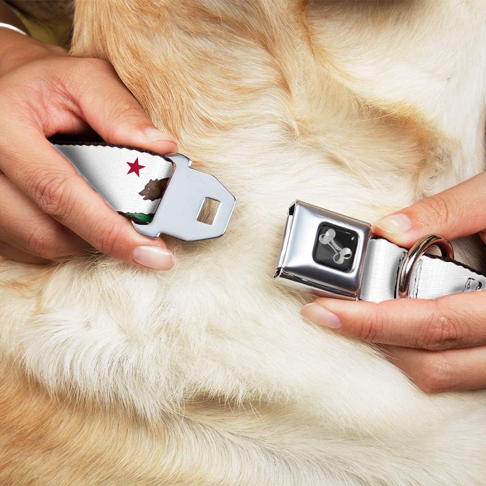 Buckle-Down Seatbelt Buckle Dog Collar - Cali Bear White - 1" Wide - Fits 11-17" Neck - Medium