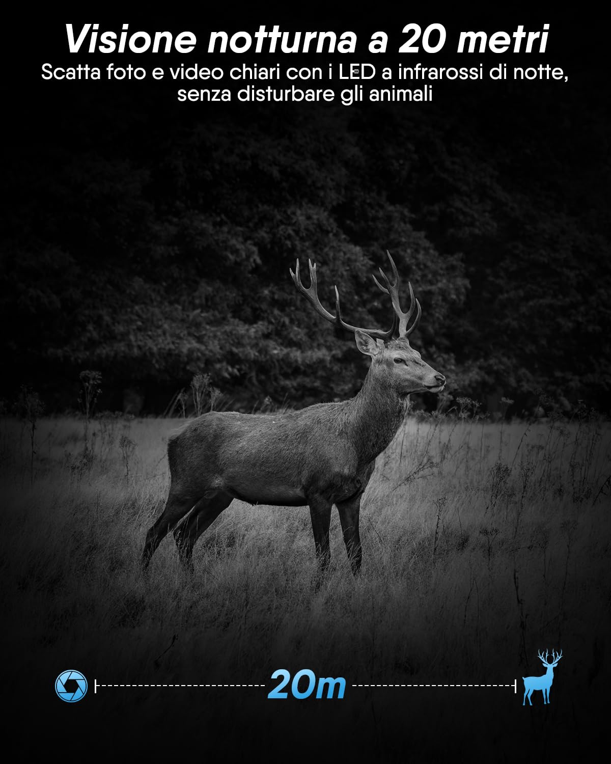 Rollei Fototrappola con Sim 4G, 4K Fototrappola Notturna con App e Sensore di Movimento Telecamera Caccia Notturna Infrarossi con Batteria e Scheda 32GB IP66, Fototrappola-4G-Sim-Wildlife-Camera
