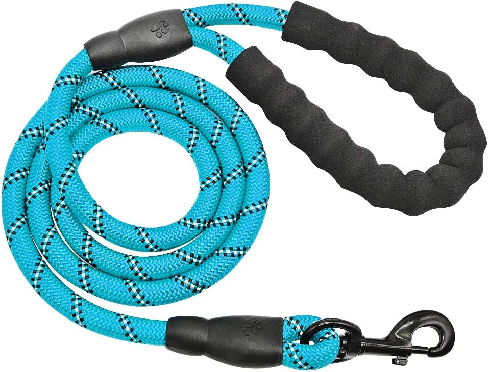 Amebo Reflective Dog Leash,5 FT Dog Training Leash,Nylon Leash Dog Mountain Climbing Rope for Strong Small Medium Large Dog
