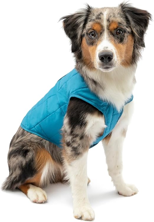 Kurgo Loft Dog Jacket, Reversible Dog Coat, Wear with Harness or Sweater, Water Resistant, Reflective, Winter Coat for Small Dogs (Coastal Blue, S)