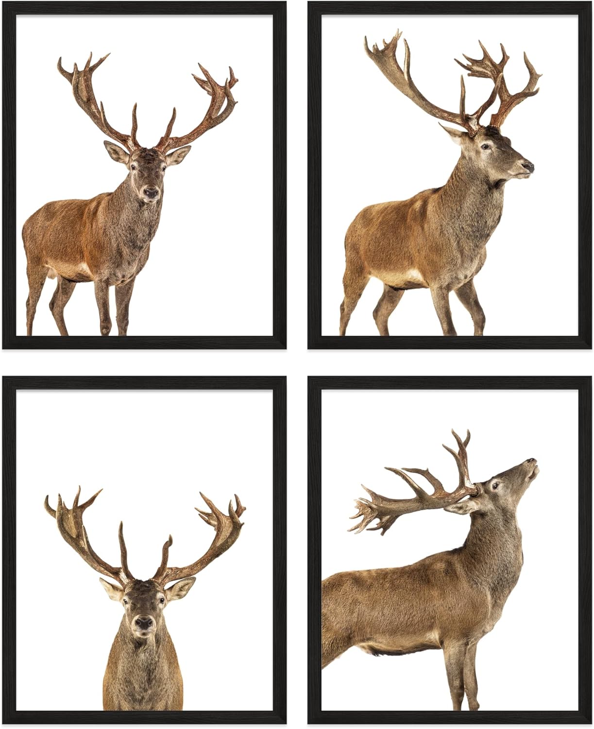 Insire Deer Wall Art Deer Print Wall Art Set of 4 (8x10