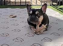 Review Image by Amazon Customer Amazon Customer