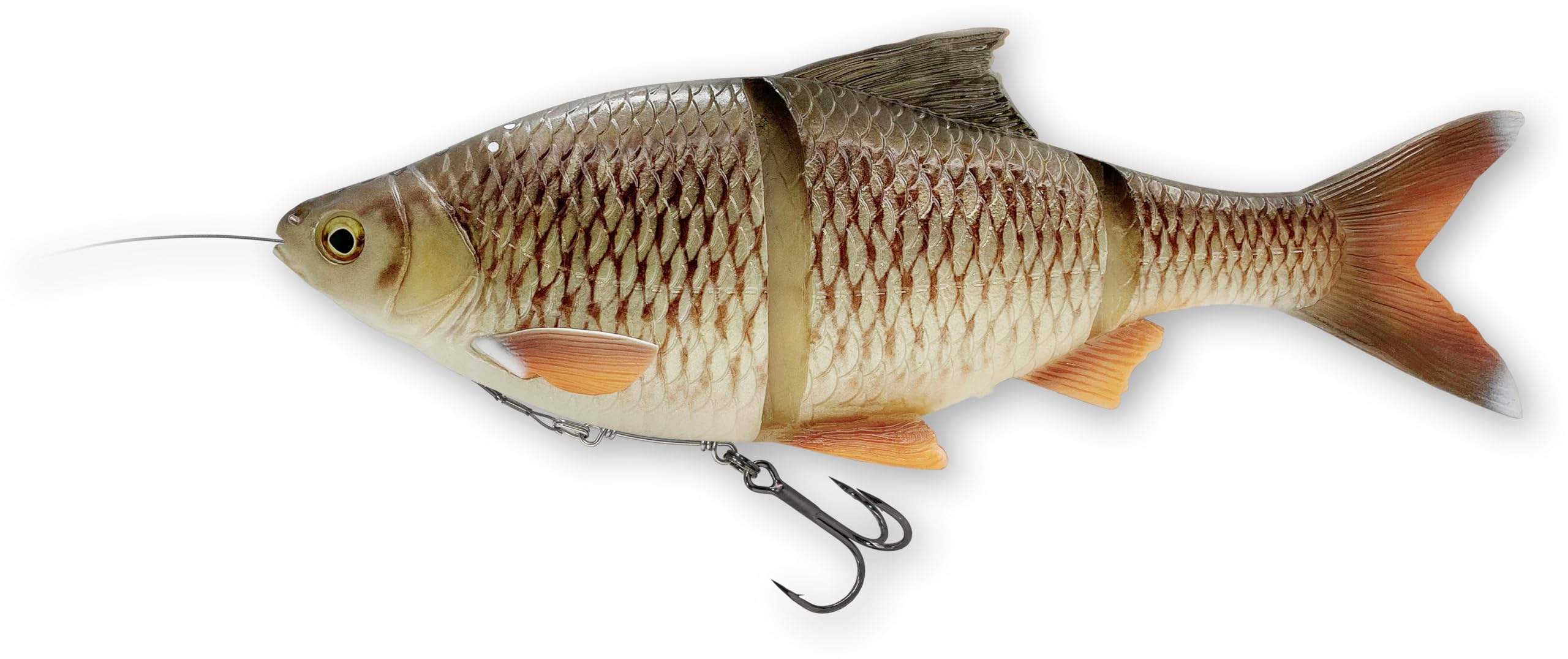 Savage Gear 4D Line Thru Roach 25cm [206g] SS Bream Pack of 1 Sports & Outdoors