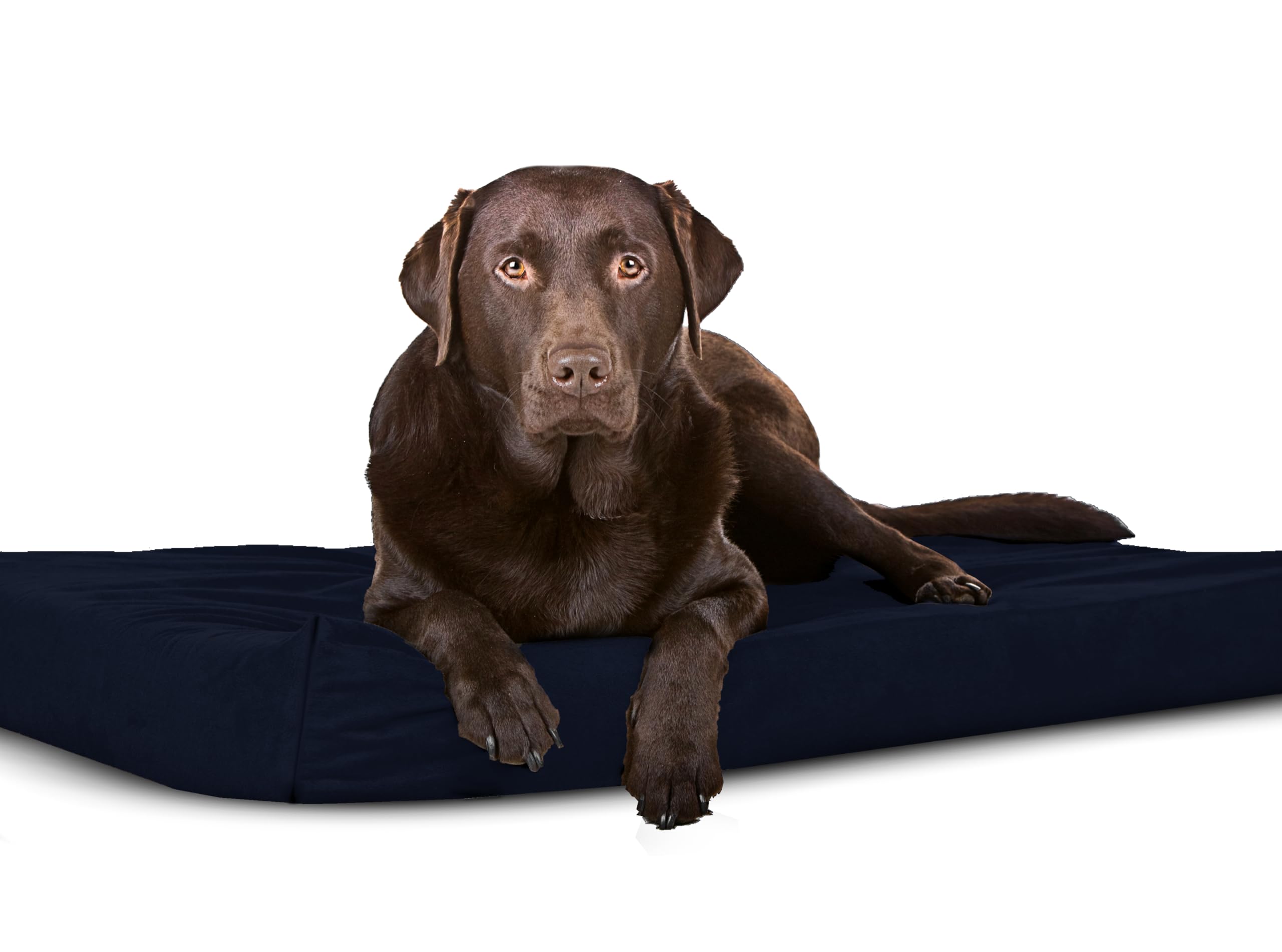 Sapphire Collection Waterproof Bed Cushion Pet Bed and Mattress Dog Cage Mat Pet Dog Cat Bed Pad with Washable & Removable Zipped Cover (Medium (90 x 60 x 5cm), Navy)