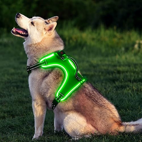 Miniatura 6 de Arnés para perro con luz, arnés LED con asa recargable y ajustable, arnés iluminado para perros de tamaño pequeño, mediano y grande (L, verde)