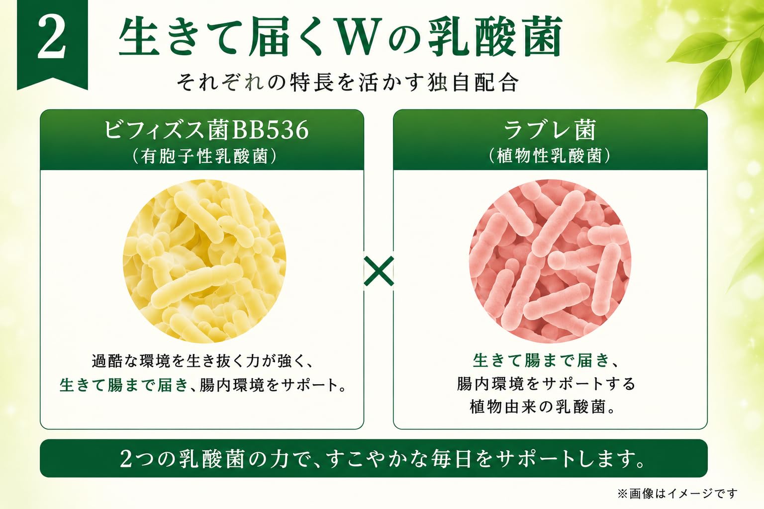 Amazon | 【腸内環境を良好にし便通を改善する】機能性表示食品 健康