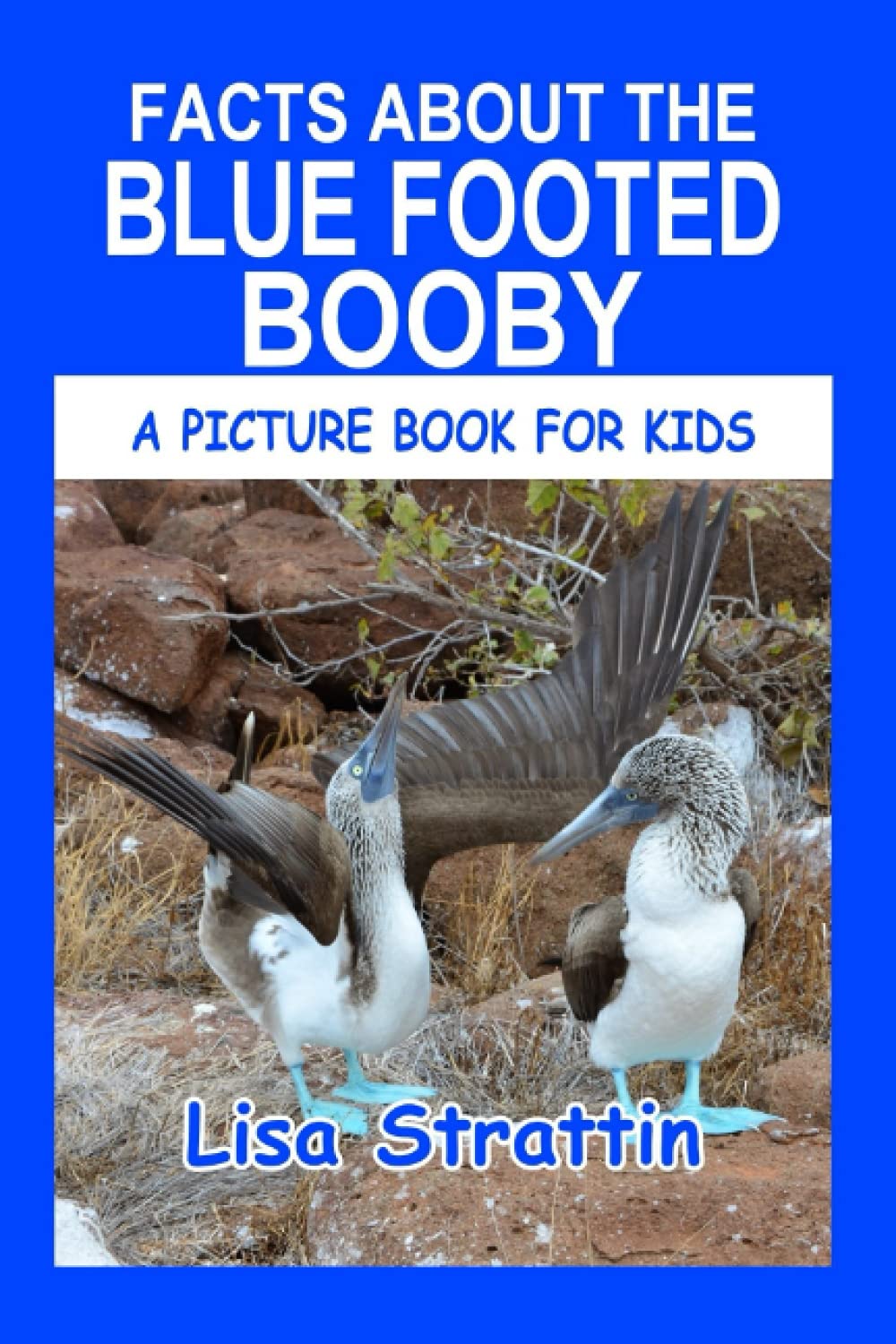 Facts About the Blue Footed Booby (A Picture Book For Kids)