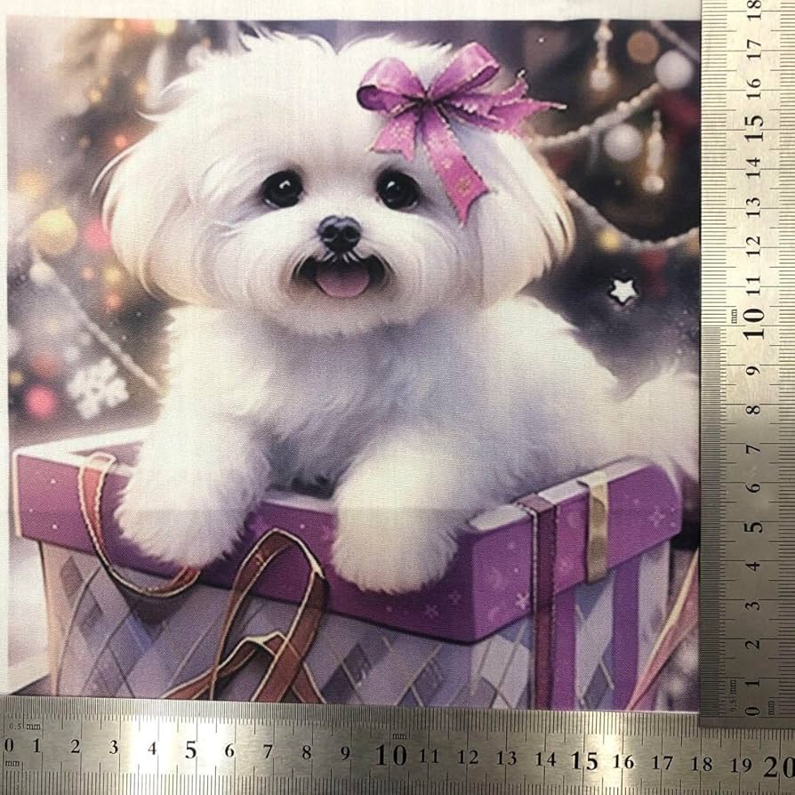 ハンドメイド オーダー受付ページ ♡フルーツわんこ パネル ハンドメイド オーダー受付ページ ♡フルーツわんこ パネル