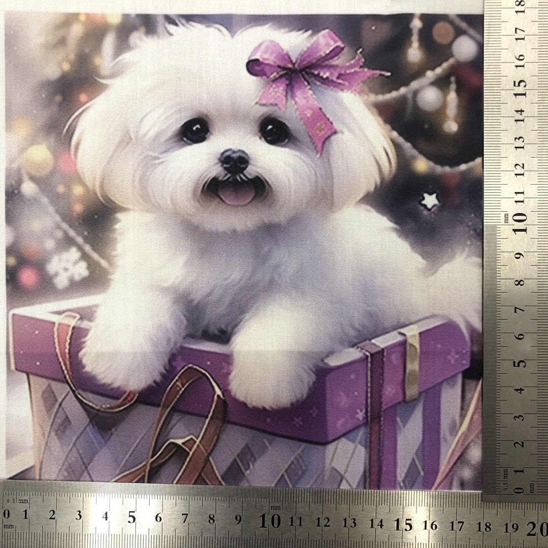 Amazon.co.jp: パネル生地 可愛いマルチーズ8柄 : ホーム＆キッチン 