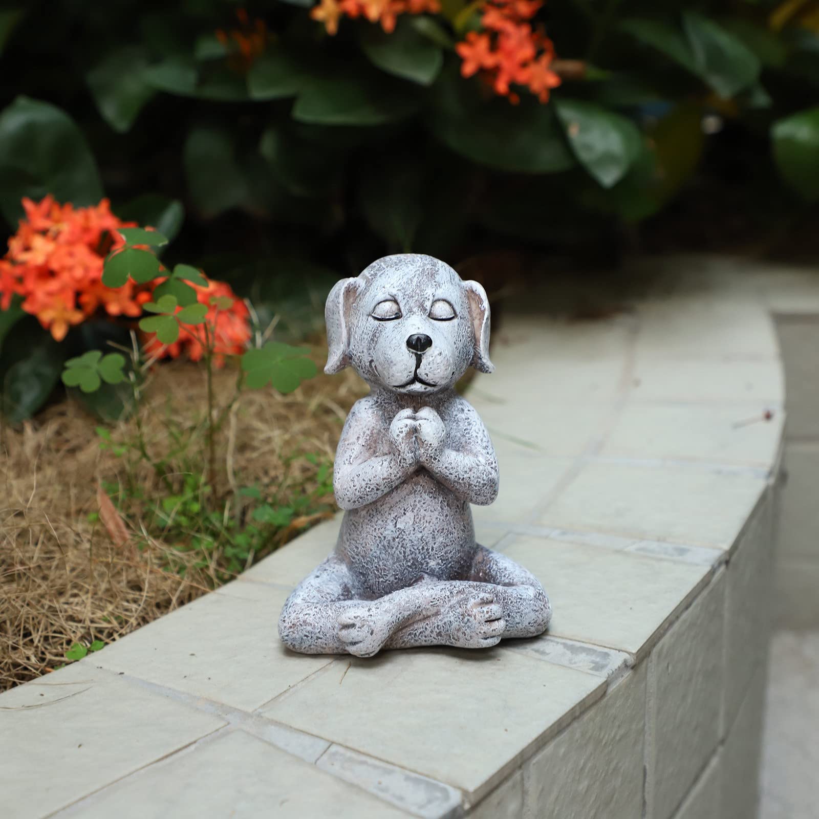 Statua Da Giardino Con LED Solare – Orsacchiotto E Gatto In Vaso – Decorazione Per Esterno E Interno (Altezza 31,5 Cm)