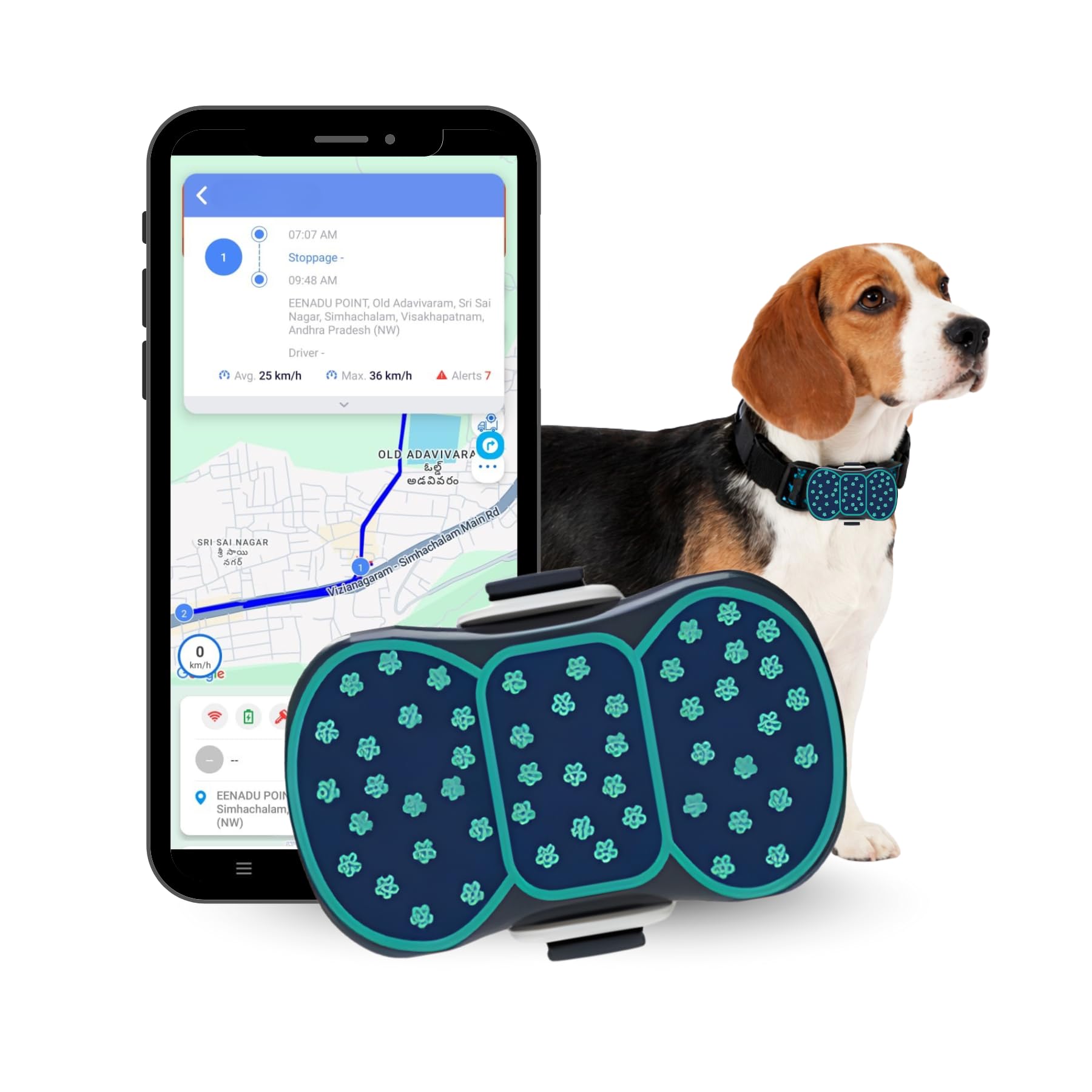 PB1 4G Pet GPS Tracker | Real-Time Live Tracking, Geo-Fence Alerts, Waterproof | Alerts | App & Web Monitoring | GPS Collar Tracker for Dogs & Large Pets Blue Flower 12 Months 4G Data and App-image-36