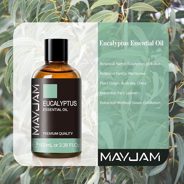 MAYJAM Olio Essenziale Di Eucalipto 100ml, Olio Di Eucalipto Per Diffusori, Umidificatori, Fai Da Te, Casa, Guardaroba - 2