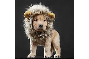 Puppy Lion Costume